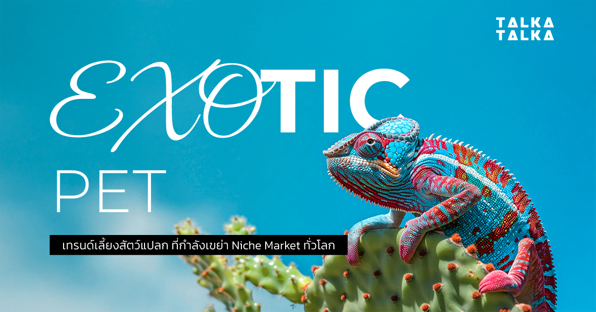 Exotic Pet