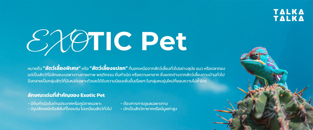 Exotic Pet คืออะไร?